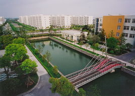 园区鸟瞰