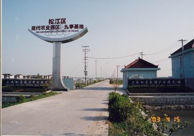 园区近照