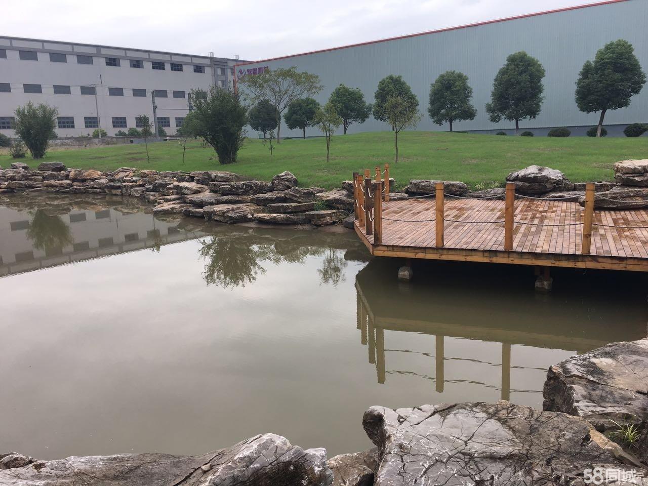 上海奉贤北优质单层工业厂房仓库出租