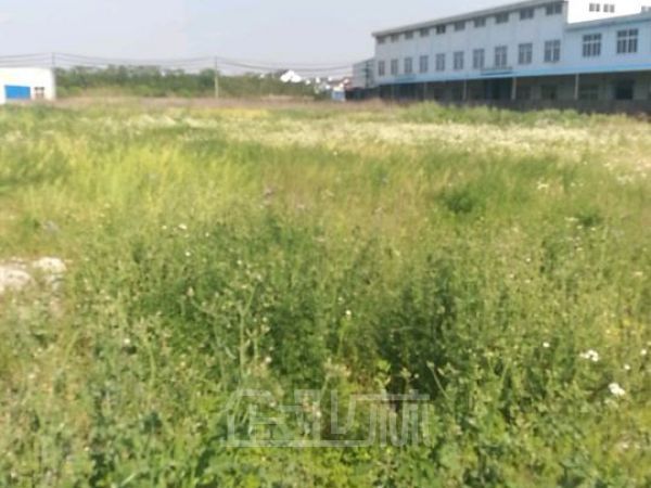 金山枫泾15亩土地出租