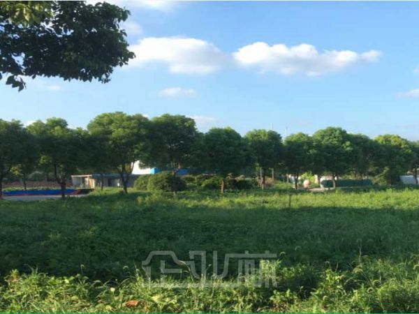 无污染高税收企业定向建造厂房 独门独院30亩