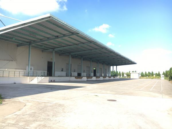 车墩工业区 高平台立体货架仓库1万平