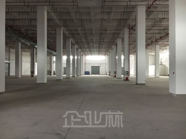 莘砖公路 高平台双层厂房 仓库 12000平