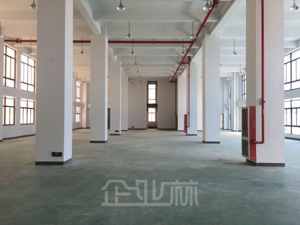 老闵行 业主 底楼厂房800平 便宜出租
