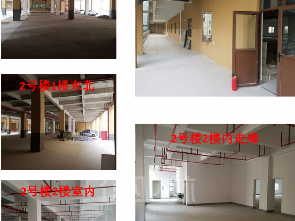 青浦张江高新园区黄金地段三栋独立厂房出租
