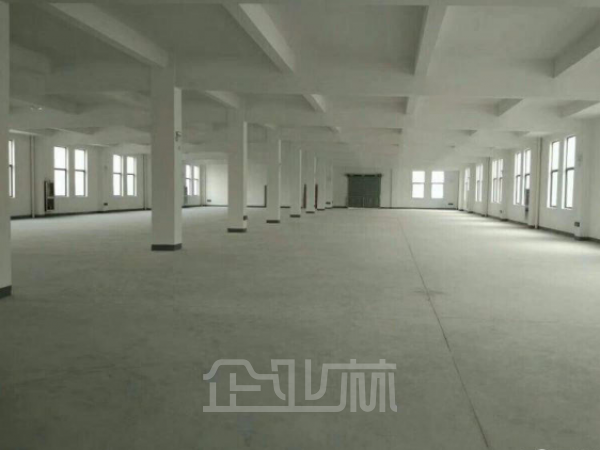 出租闵行全单层仓库13800平