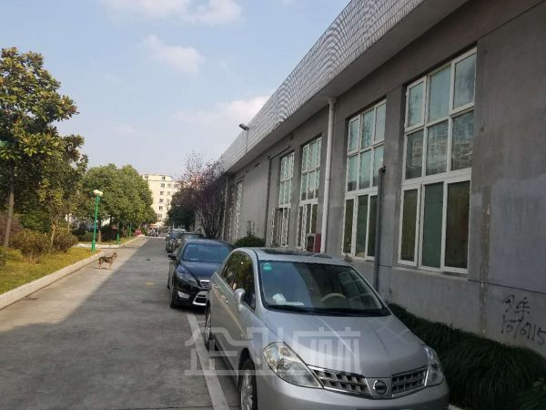 五角场独栋单层1200平方出租