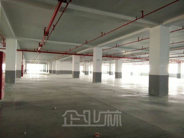 出租金山枫泾3600平厂房仓储 带消防,独栋