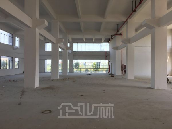 新建独栋104板块厂房 层高7.9米