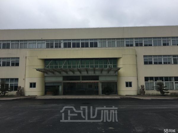 嘉定专线档口出租有产权