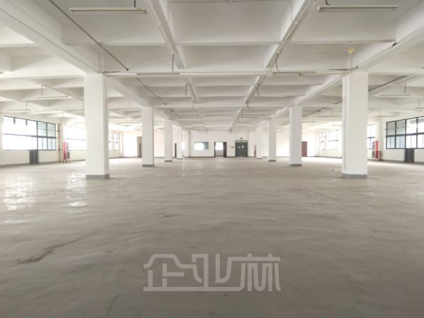 松江工业区 104板块底楼厂房2500平 4.5米