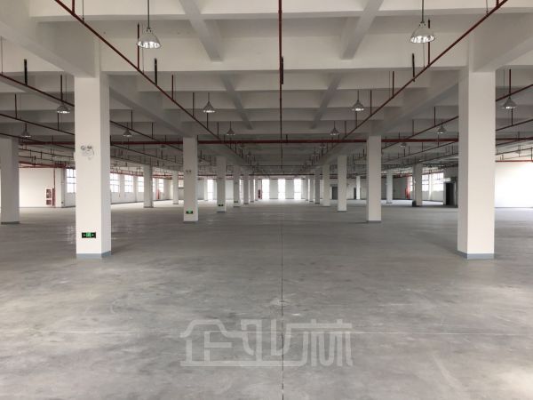 徐汇 104板块研发生产型厂房出售