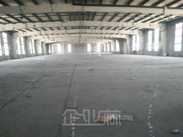 松江出口加工区5000平单层厂房对外出租 租金0.9元/天/平米