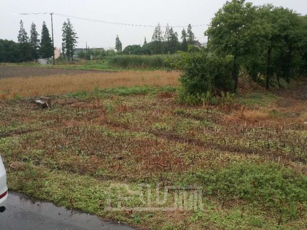 上海金山30亩空地，有指标104地块