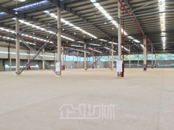 近上海 国际型装备产业园单层厂房5232平 便宜出售
