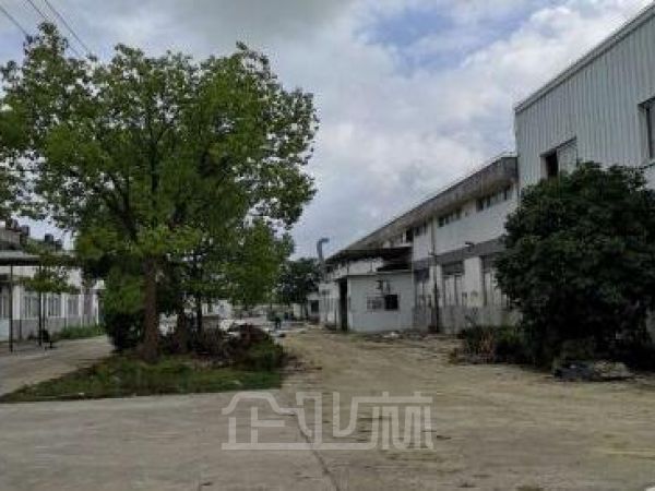 松江新城 单层厂房8500平米出租 单价1.6元/天/平米