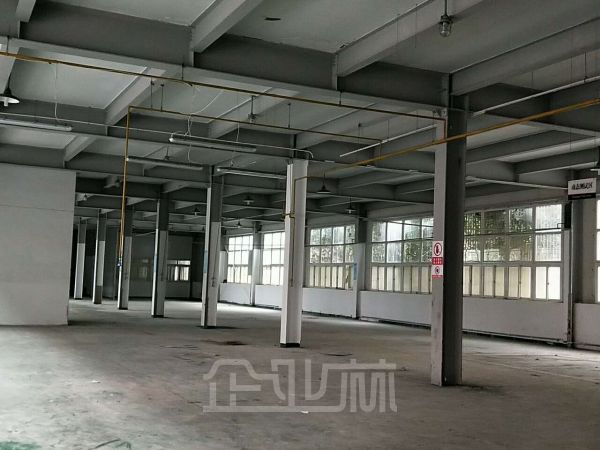 出租:杨浦五角场优质厂房1200平方