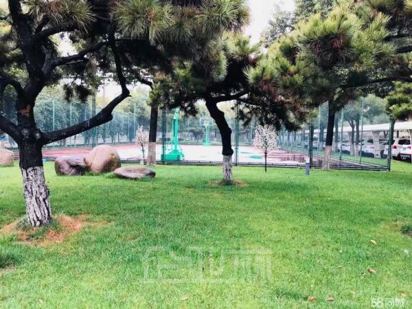 松江工业区104板块豪华园区3150平