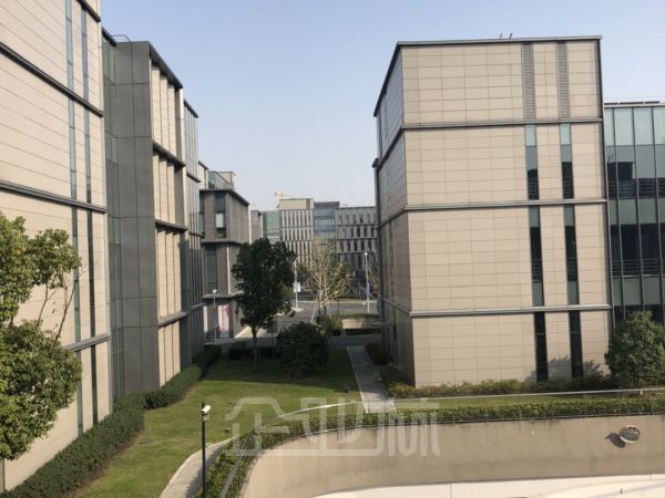 漕河泾南桥园区 火热招商!!!(开发商直招)