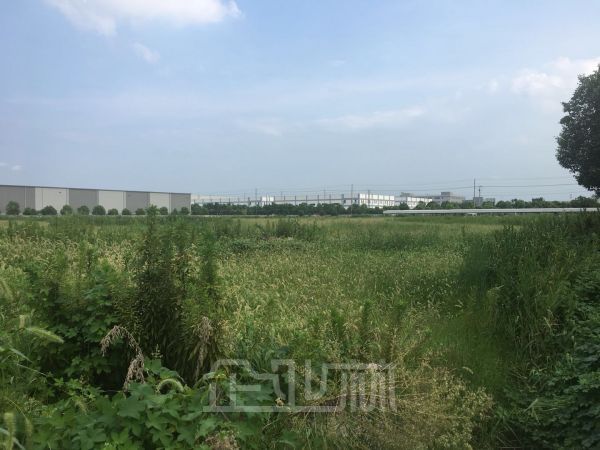 启东 一手工业用地25亩 便宜出售