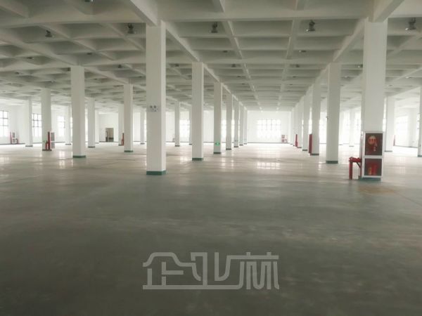 出租:上海嘉定2500平方厂房