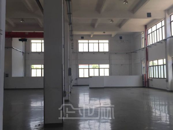 车墩近闵行独栋独立产权可加工多用途工业厂房D价出售