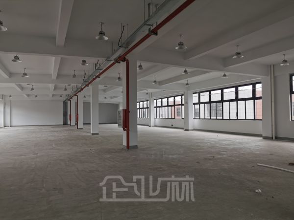 出租:松江中山街道厂房 4100平 单层 104版块独栋