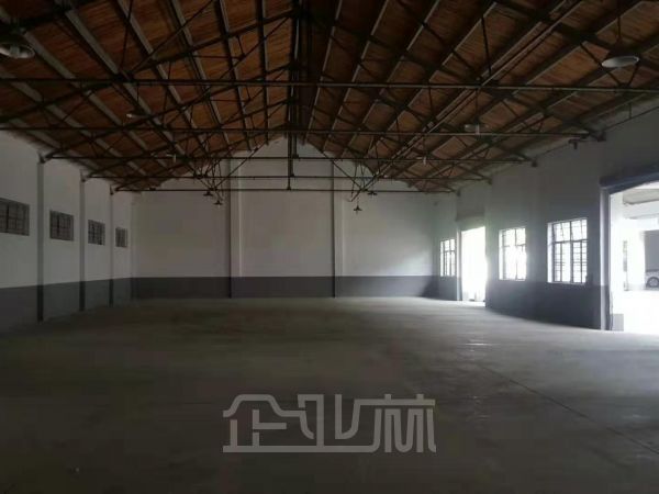 出租:上海松江九亭厂房 1125平 单层 高性价比厂房