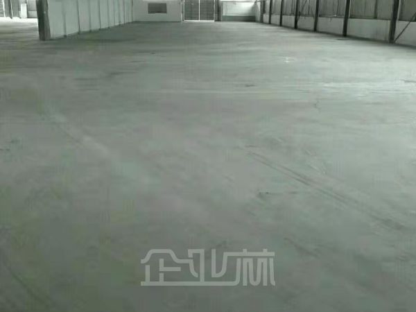 出租:上海闵行区浦江镇厂房 1600平 单层 超大场地