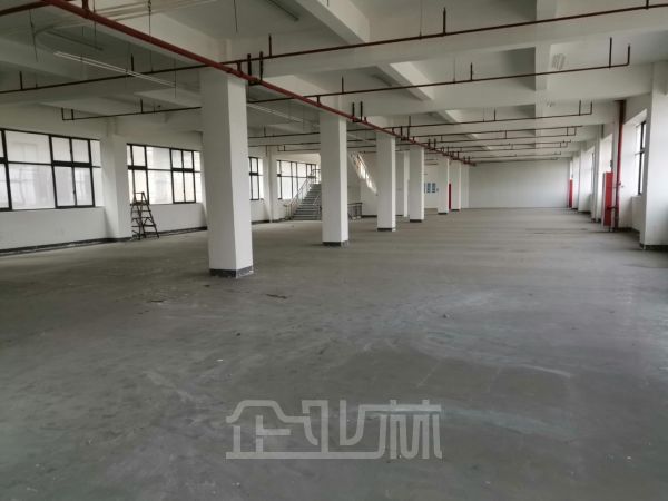 出租:闵行颛桥都会路厂房 3000平 多层 全新厂房