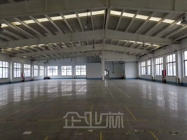 新桥工业区 104板块单层厂房7800平 高度6米 可分租