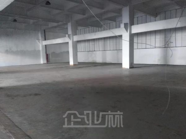 松江小昆山厂房出租面积3200平