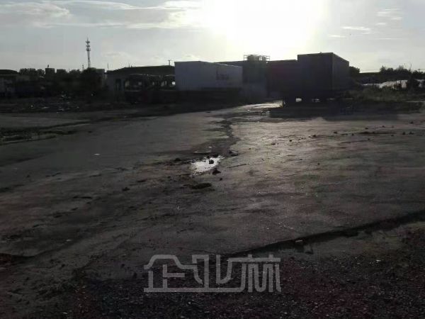 出租:松江九亭九泾路空地 16.5亩 独门独院