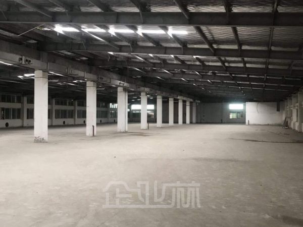 出租:上海闵行莘庄厂房 3800平 单层 104版块