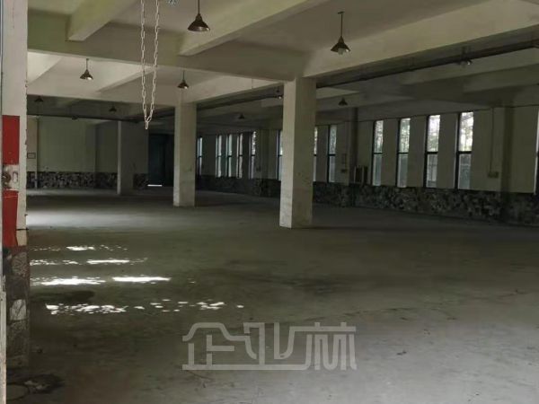 松江北九亭独门独院小面积260平厂房出租 带办公