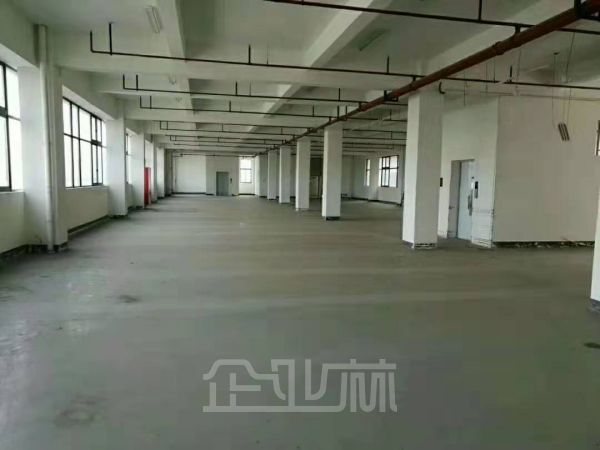 出租:松江区新桥镇卖新公路厂房 2000平 多层 104版块可注册