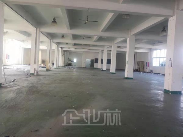 出租嘉定黄渡厂房面积10000㎡价格好谈