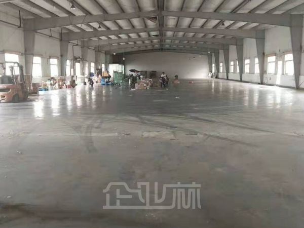 出租:松江新桥厂房 2400平 单层 独门独院
