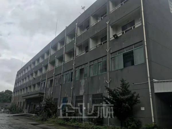 出租:松江新桥金都西路厂房 2000平 多层 适合业态广