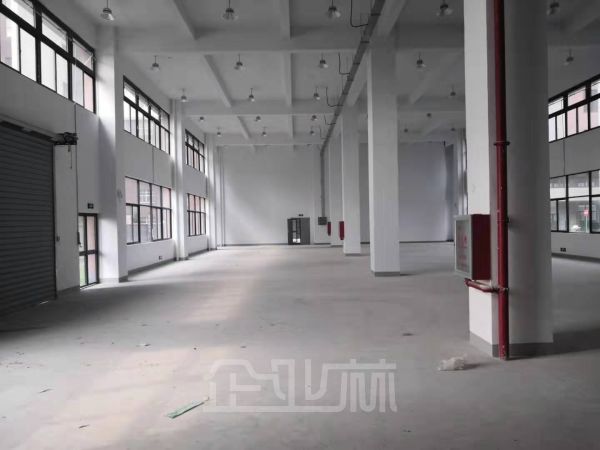 出租:松江九亭涞寅路厂房 1290平 多层 可办环评可注册