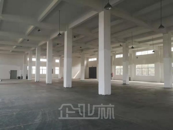 出售:松江佘山吉业路厂房 3196平 双层 独栋104版块