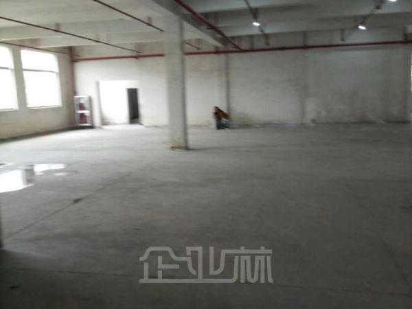 出租:松江新桥申光路厂房 2080平 单层 带卸货雨棚