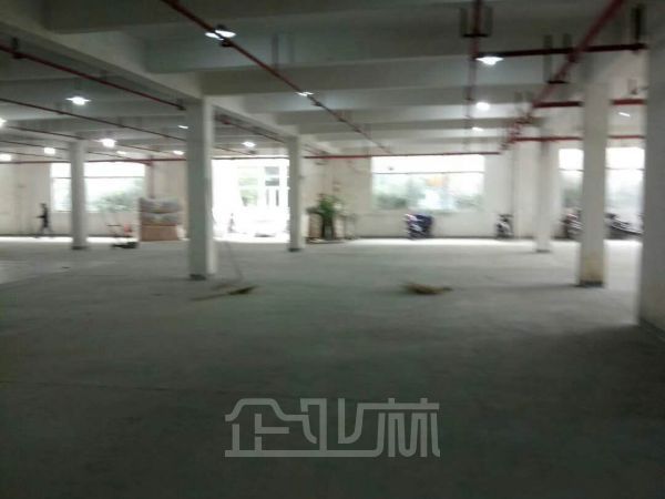出售:松江车墩回业路厂房 1651平 单层 独门独院