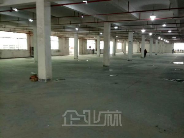 出租:松江新城工业区厂房 4200平 单层 火车头式