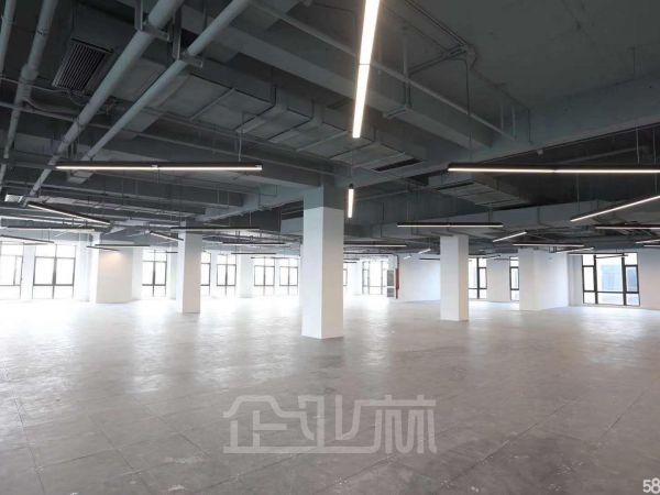 出售:奉贤金海公路厂房 10000平 单层 104版块