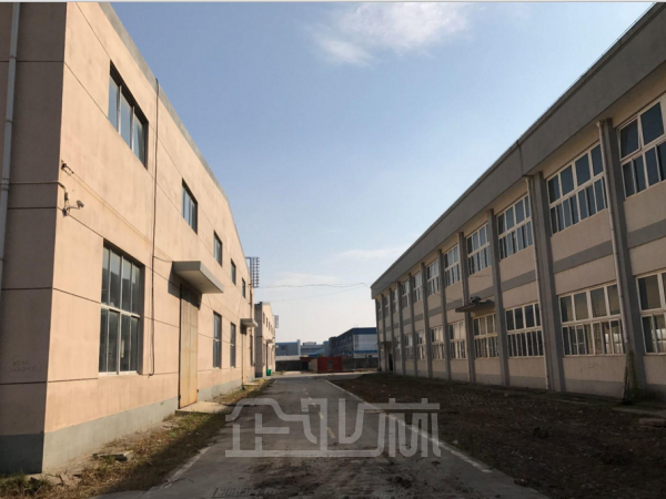 出租：奉贤四团平港路厂房 5500平 单层 门前空地大