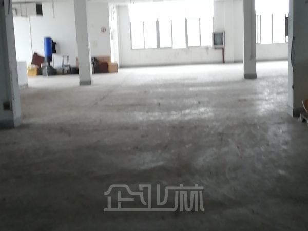 出租:松江叶榭5000平 双层 独门独院 104 均价0.9元每平/天
