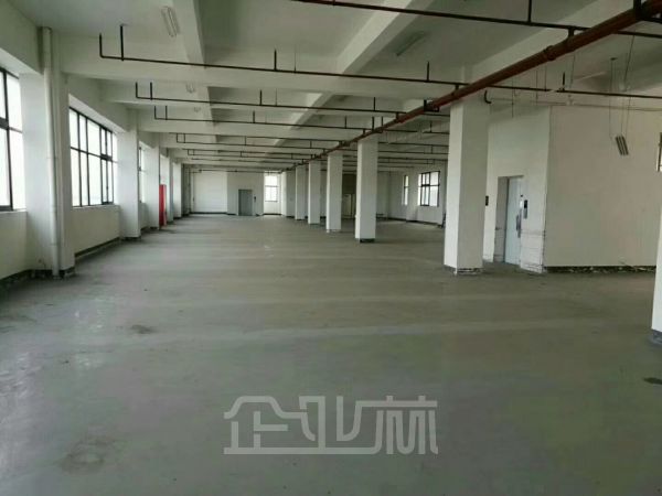 松江新桥104板块17288平 多层 厂房出租 可分割