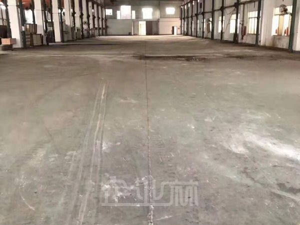 金山枫泾镇独门独院单层厂房出租面积2875平,绿证,104地块,可以环评