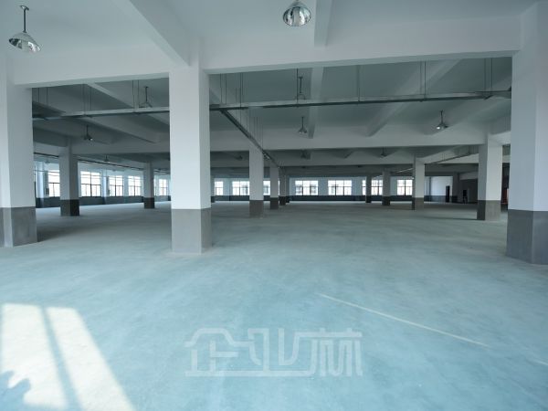 出租:金山亭林6300平多层厂房104板块 配套齐全!!